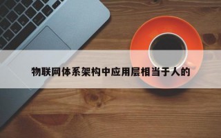 物联网体系架构中应用层相当于人的