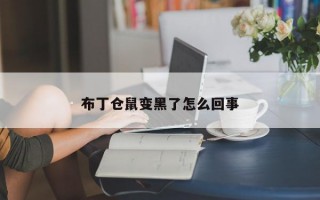 布丁仓鼠变黑了怎么回事