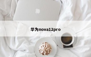 华为nova12pro