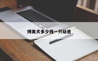 博美犬多少钱一只幼崽