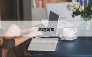湿地英文