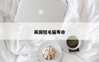 英国短毛猫寿命