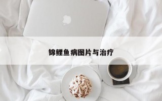 锦鲤鱼病图片与治疗 锦鲤鱼病图片与治疗