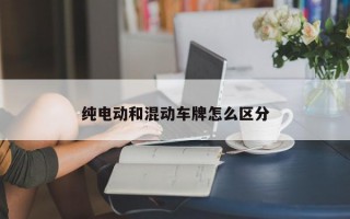 纯电动和混动车牌怎么区分
