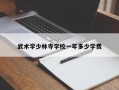 武术学少林寺学校一年多少学费