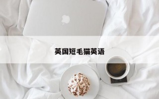 英国短毛猫英语