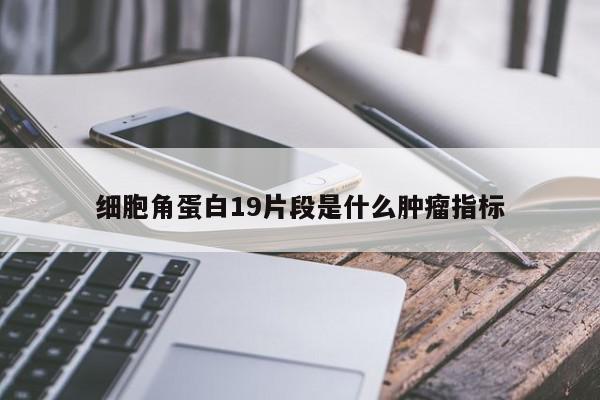 细胞角蛋白19片段是什么肿瘤指标-第1张图片-百科网-生活百科,科技百科,汽车百科,财经百科,情感百科,数码百科,旅游百科,运动百科,宠物百科,花鸟鱼虫等百科大全