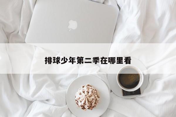 排球少年第二季在哪里看-第1张图片-百科网-生活百科,科技百科,汽车百科,财经百科,情感百科,数码百科,旅游百科,运动百科,宠物百科,花鸟鱼虫等百科大全