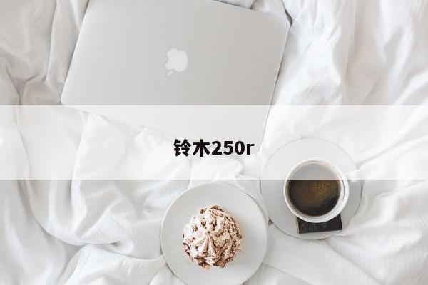铃木250r-第1张图片-百科网-生活百科,科技百科,汽车百科,财经百科,情感百科,数码百科,旅游百科,运动百科,宠物百科,花鸟鱼虫等百科大全