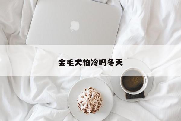 金毛犬怕冷吗冬天-第1张图片-百科网-生活百科,科技百科,汽车百科,财经百科,情感百科,数码百科,旅游百科,运动百科,宠物百科,花鸟鱼虫等百科大全