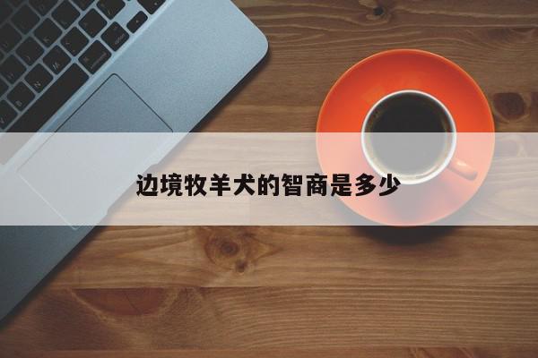 边境牧羊犬的智商是多少-第1张图片-百科网-生活百科,科技百科,汽车百科,财经百科,情感百科,数码百科,旅游百科,运动百科,宠物百科,花鸟鱼虫等百科大全